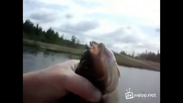 Язь - супер прикол!!! смотреть онлайн