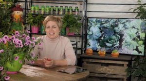 Совмещенные посадки- Советы дачникам? Как правильно сделать? садовод огородник