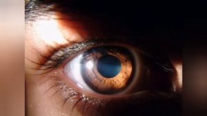 КАРИЕ ГЛАЗ значение и факты карих глаз