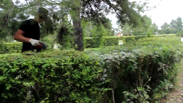 Вам покороче? В городе стригут кустарники смотреть онлайн