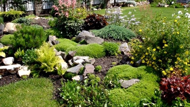 Альпийская горка- украшение дачного участка. Как правильно соорудить на участке альпийскую горку. смотреть онлайн