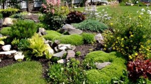 Альпийская горка- украшение дачного участка. Как правильно соорудить на участке альпийскую горку.