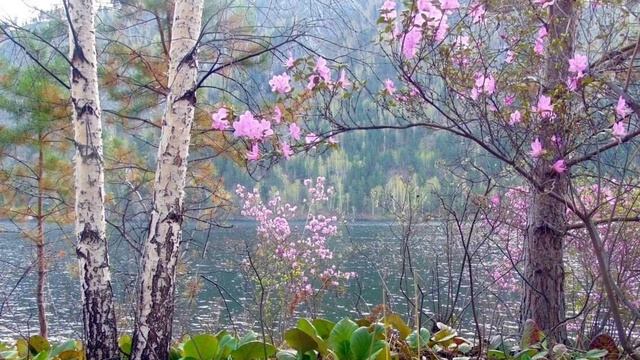 ♫. Анна Герман - "Я Жду Весну",1974, муз.Е.Мартынов , слова А.Дементьев , фото Хакасия смотреть онлайн