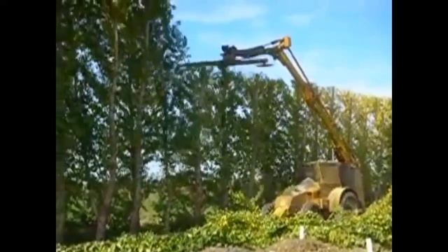 Невероятные машины для обрезки деревьев и стрижки кустов mp4 — копия смотреть онлайн