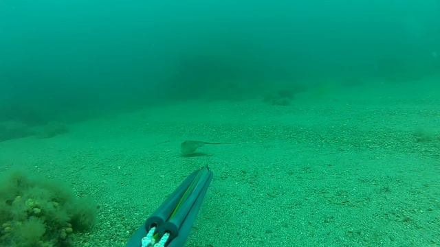 Подводная охота Черное Море 10.05.2015 смотреть онлайн