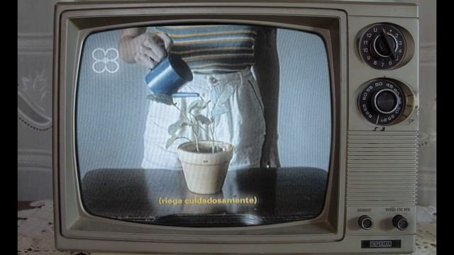 Caramelo | Dulce смотреть онлайн