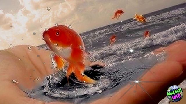 Магическая дата 09.09! Как правильно загадать желание? Зеркальная дата 09.09. смотреть онлайн