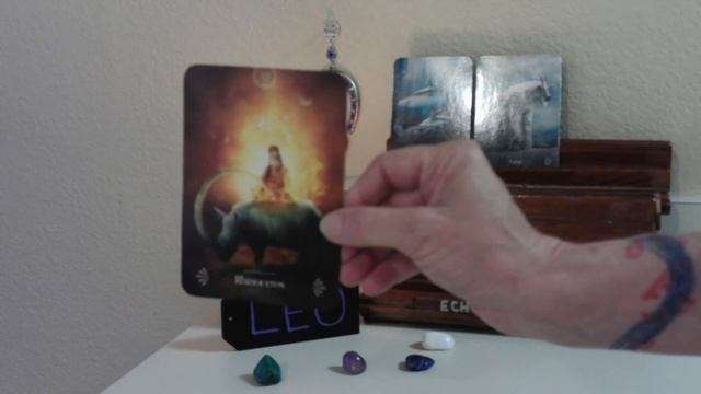 HAPPY BIRTHDAY LEO! THE RISING OF THE PHOENIX! смотреть онлайн