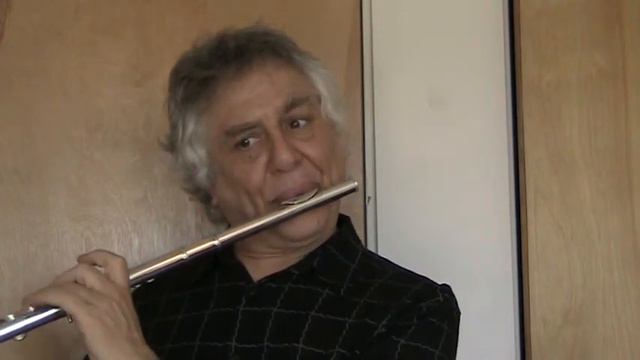 Yamaha YFL-584 Flute смотреть онлайн
