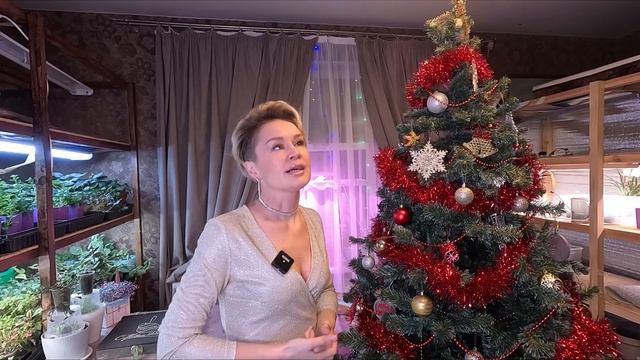 ПОЗДРАВЛЯЮ ВАС С НАСТУПАЮЩИМ 2024 ГОДОМ! смотреть онлайн