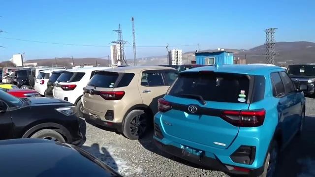 ЗЕЛЁНЫЙ УГОЛ БЕЗ СУЕТЫ СЕГОДНЯ 2024, АВТОРЫНОК ВЛАДИВОСТОК смотреть онлайн