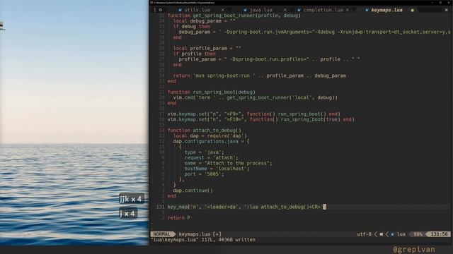 Neovim: How to Use Java Debugging смотреть онлайн