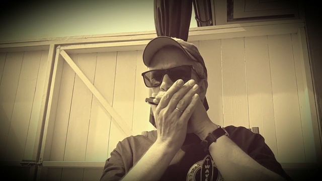 HARMONICA: DEVIL IN THE WOODPILE смотреть онлайн