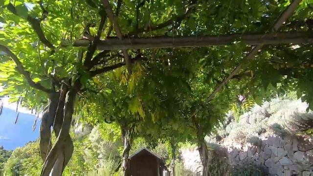 Ботанический сад в Мерано . Италия осень 2020 . смотреть онлайн