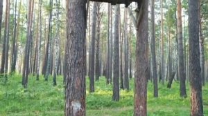 Железногорск, Красноярск 26, Как живёт самый закрытый город России