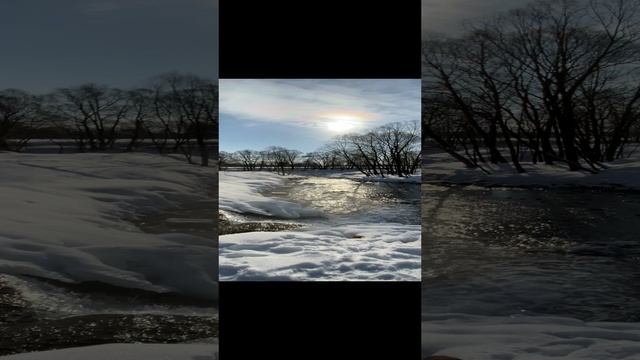Заповедник смотреть онлайн