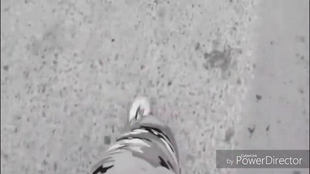 Клип Тима Белорусских-Мокрые Кроссы! смотреть онлайн