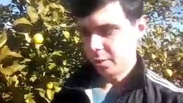 Р. Рождественский "Будь пожалуйста послабее" Шикарный стих о силе женщины музы смотреть онлайн