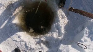 С ненцем в тундре проверка сетей !