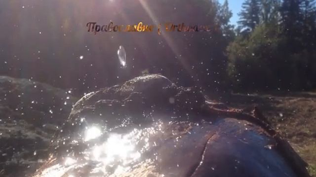 Как убрать ПЛОХИЕ МЫСЛИ Нил Сорский (Православие Orthodox ) смотреть онлайн