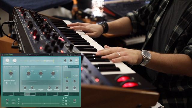 Arturia EFX Fragments | No Talking | смотреть онлайн