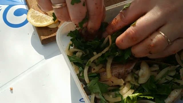 СКУМБРИЯ НА РЕШЕТКЕ НА КОСТРЕ_ РЫБНЫЙ ШАШЛЫК_ БЫСТРО И ОЧЕНЬ ВКУСНО смотреть онлайн