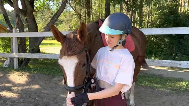 Конные отряды, верховая езда. смотреть онлайн
