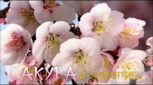 ЯПОНИЯ ДЛЯ ДЕТЕЙ ??