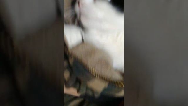 9 сентября 2023 г. смотреть онлайн