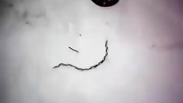 Буран на Алтае смотреть онлайн