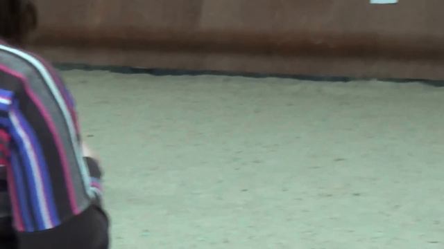 00029 16.01.2016 Национальная выставка ши-тцу. смотреть онлайн