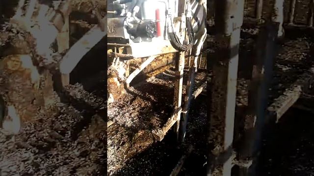 Супер мастер педикюра животных смотреть онлайн