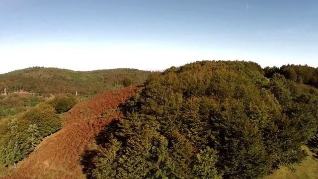 The eagle´s flight. Navarra. Spain смотреть онлайн