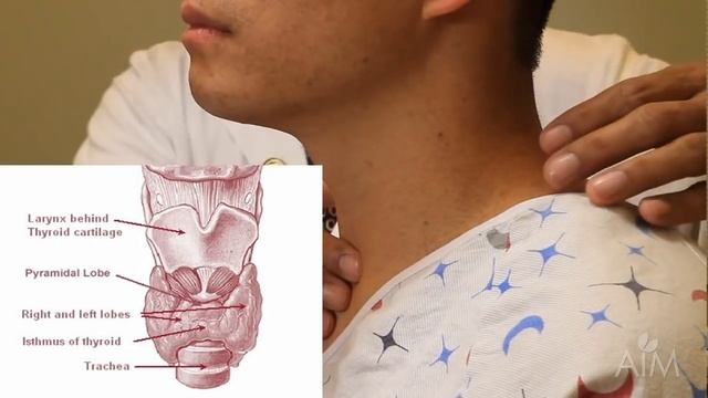 The Thyroid Exam (Stanford Medicine 25) смотреть онлайн