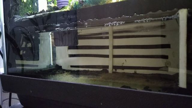 Подача воздуха и CO2 в донный фильтр для аквариума/Air and CO2 supply to the aquarium bottom filter смотреть онлайн