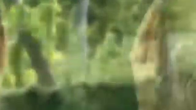 Givenchy Eaudemoiselle De Givenchy смотреть онлайн