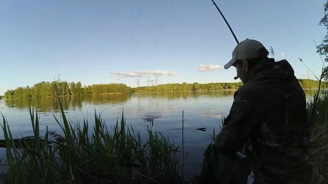 Ловля белого амура в конце мая смотреть онлайн