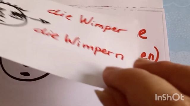 Kopfbeschreibung.Описываем по-немецки что находится на голове.(глаза,лоб,ресницы....) смотреть онлайн
