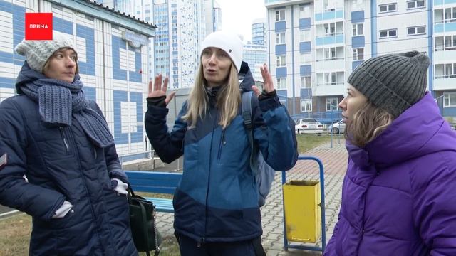 Жители дома на Карамзина заподозрили соседей в убийстве собак смотреть онлайн