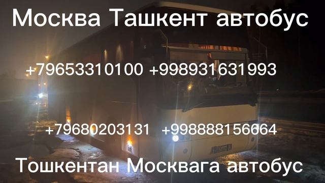 Москва Ташкент такси номер телефона +79660667066 #мигранты #ташкент смотреть онлайн