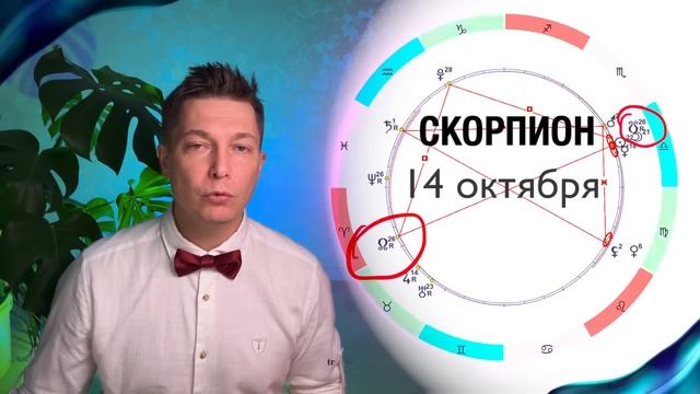 Скорпион Октябрь - коридор затмений 14 -28 октября. Душевный гороскоп Павел Чудинов смотреть онлайн