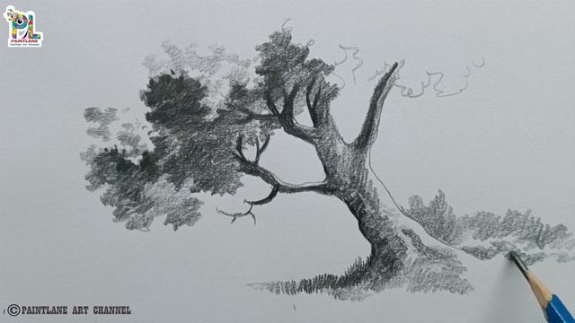 Forest Location Landscape With Pencil Drawing And Shading With One Pencil