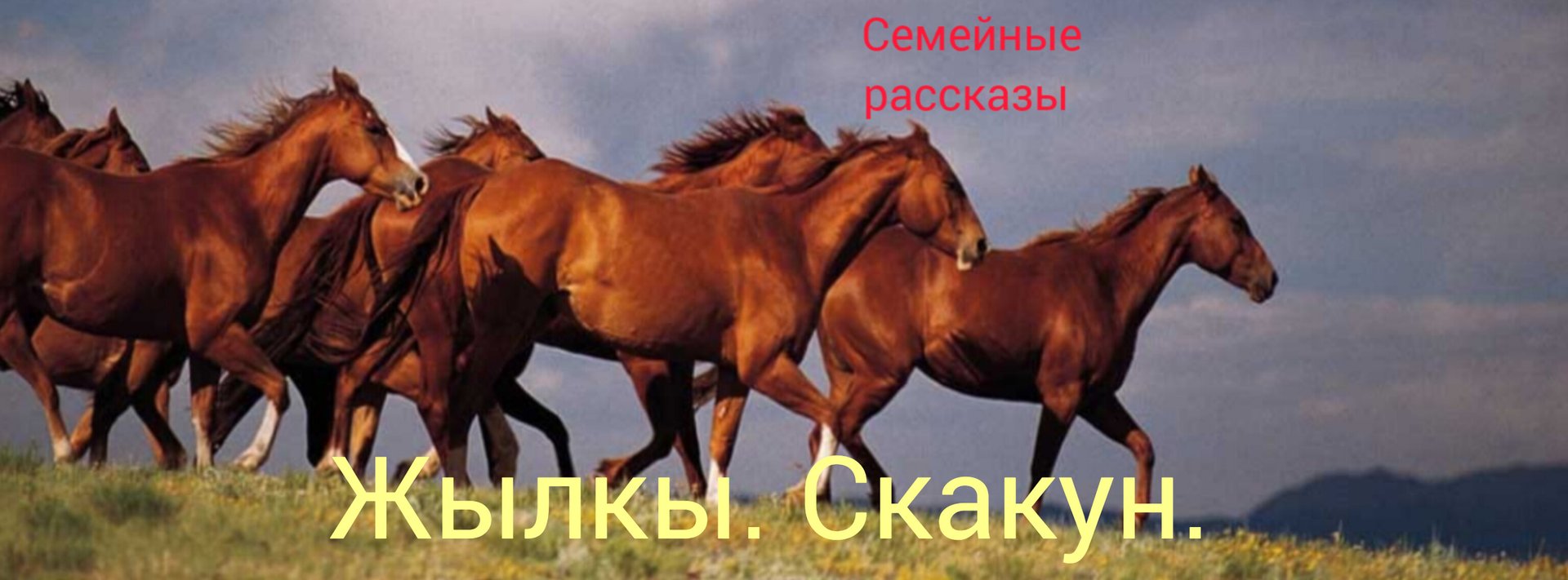 Жылкы. Скакун. смотреть онлайн