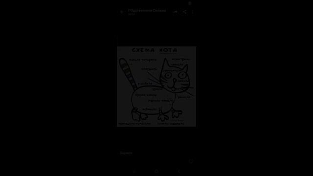 какая схема кота смотреть онлайн