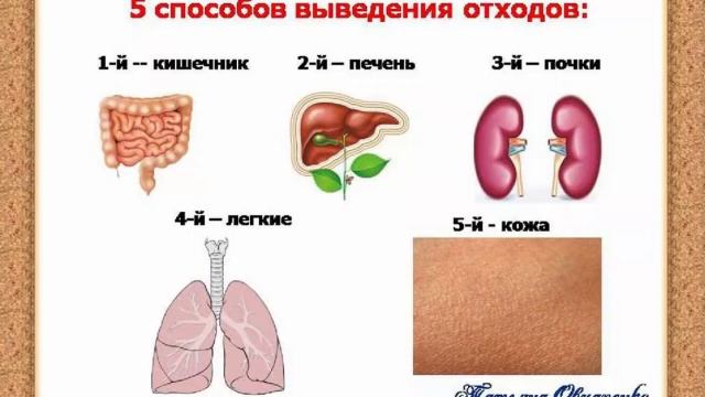 Сам себе доктор или счастливое долголетие