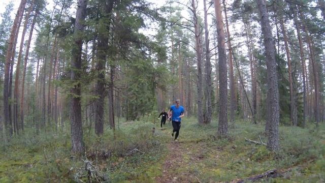 Спортивный лагерь Азимут. Ориентирование. Спринт. Квалификация смотреть онлайн