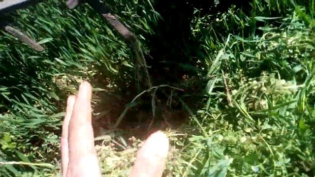 Бороним пшеницу часть 2 смотреть онлайн