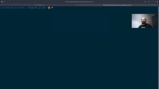 The Shell (scripts) of Madness смотреть онлайн