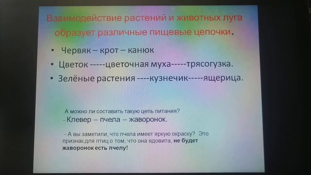 Окружающий мир. 15.04.2020. смотреть онлайн