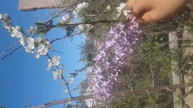Көктем келді смотреть онлайн